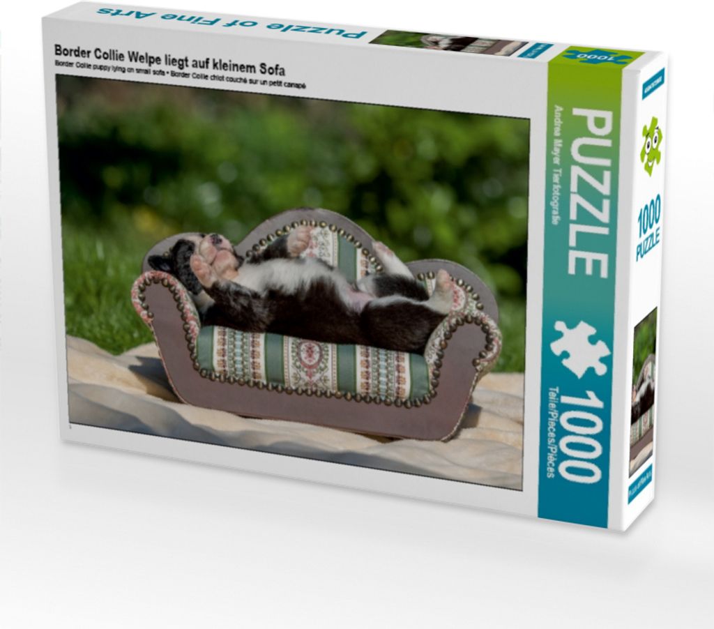 Calvendo Border Collie Welpe liegt auf kleinem Sofa 1000 Teile Puzzle quer 640x480mm, Mayer Tierfotografie Andrea; 7459264
