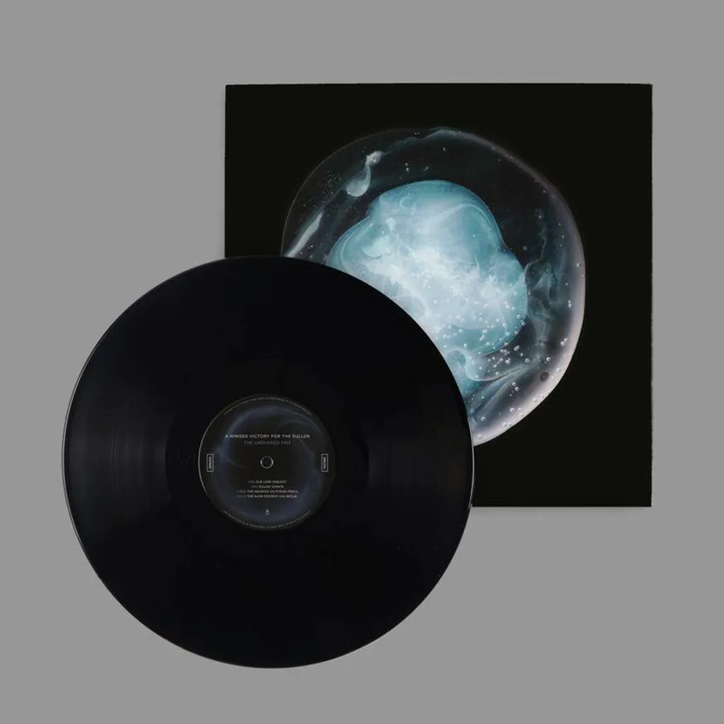 Vinyle The Undivided Five 2019 - Qualité Audio sans Souffle ni Craquement