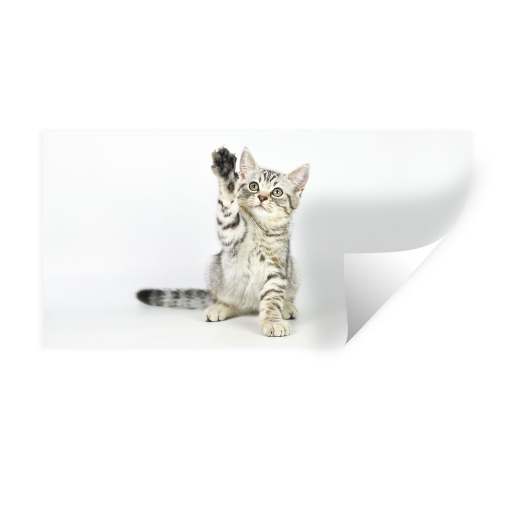 MuchoWow Wandtattoo Wandsticker Wandaufkleber Kätzchen - Pfote - Weiß - Mädchen - Kinder - Jungen - Kind 120x60 cm Selbstklebend und Repositio...
