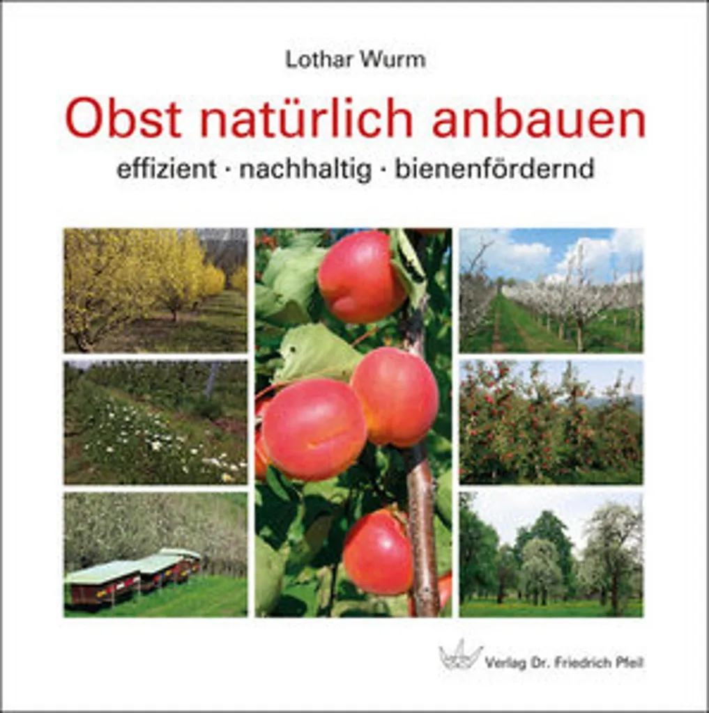 Guide complet jardinage bio pour cultiver des fruits sains et naturels