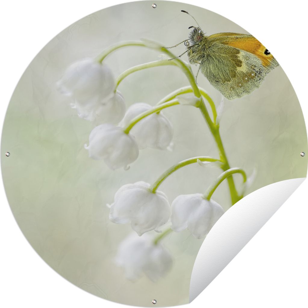 MuchoWow Gartenposter Outdoor-Poster Rund Ein Schmetterling auf einem Maiglöckchen Ø 60 cm Gartendeko Rundes Poster draußen