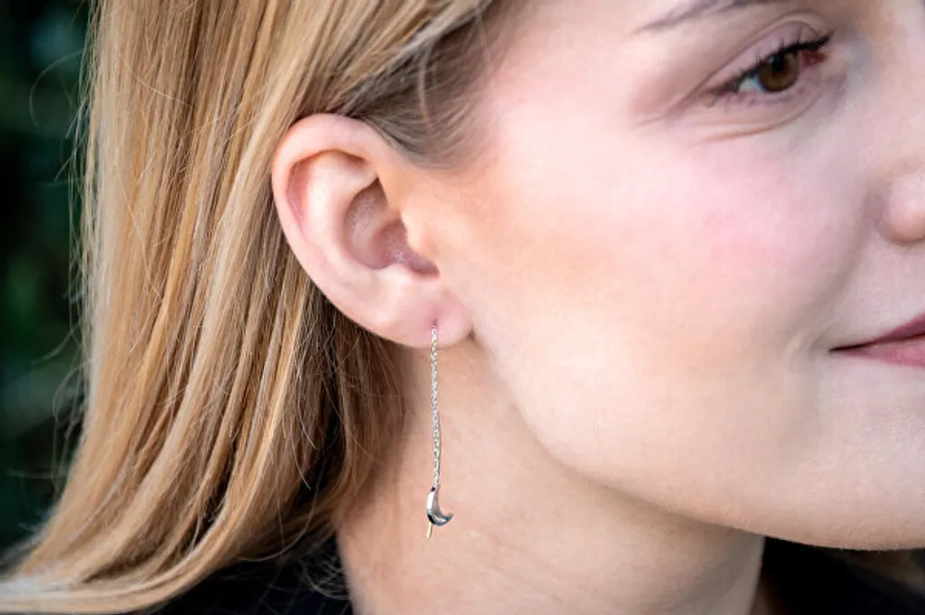 Orecchini lunghi in argento AGT-E044V - 2