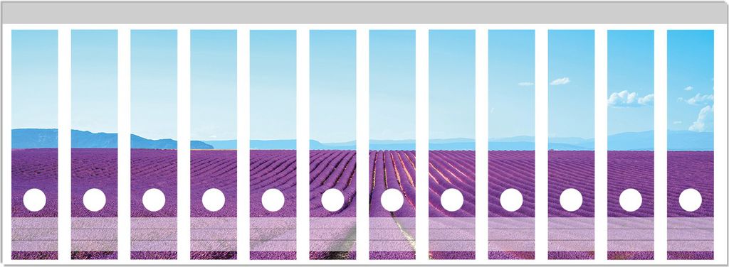 Wallario Ordnerrücken Sticker, selbstklebend für breite Ordner, 12 Stück, Motiv Lavendelfeld unter blauem Himmel