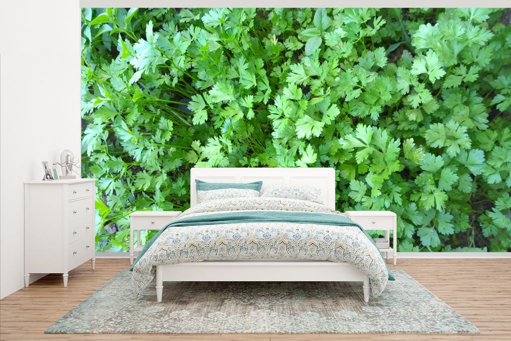 MuchoWow Fototapete für Wohnzimmer oder Schlafzimmer Wandtapete Vinyl Motivtapete Bild gefüllt mit grüner Petersilie - 395x220 cm - Tapezier P...