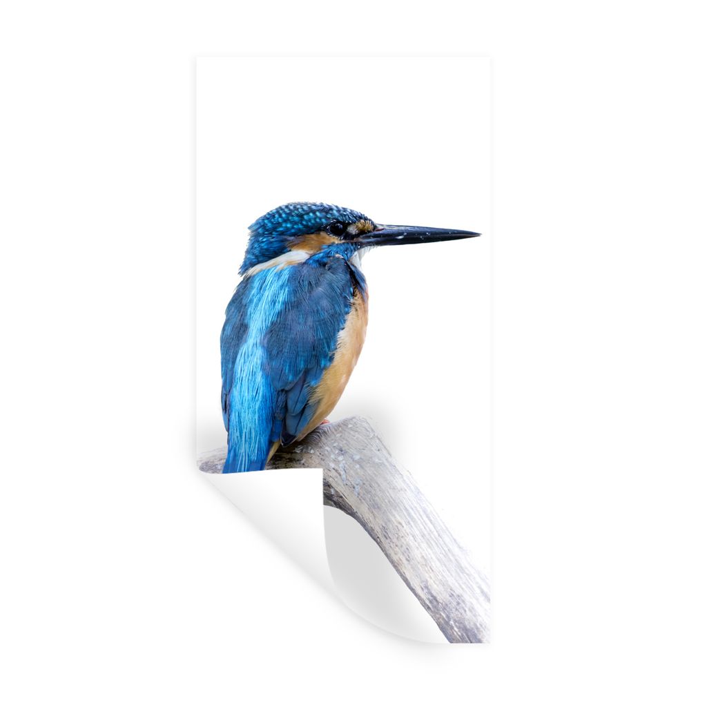 MuchoWow Wandtattoo Wandsticker Wandaufkleber Eisvogel - Zweig - Schnabel 80x160 cm Selbstklebend und Repositionierbar - Sticker - Dekorfolie