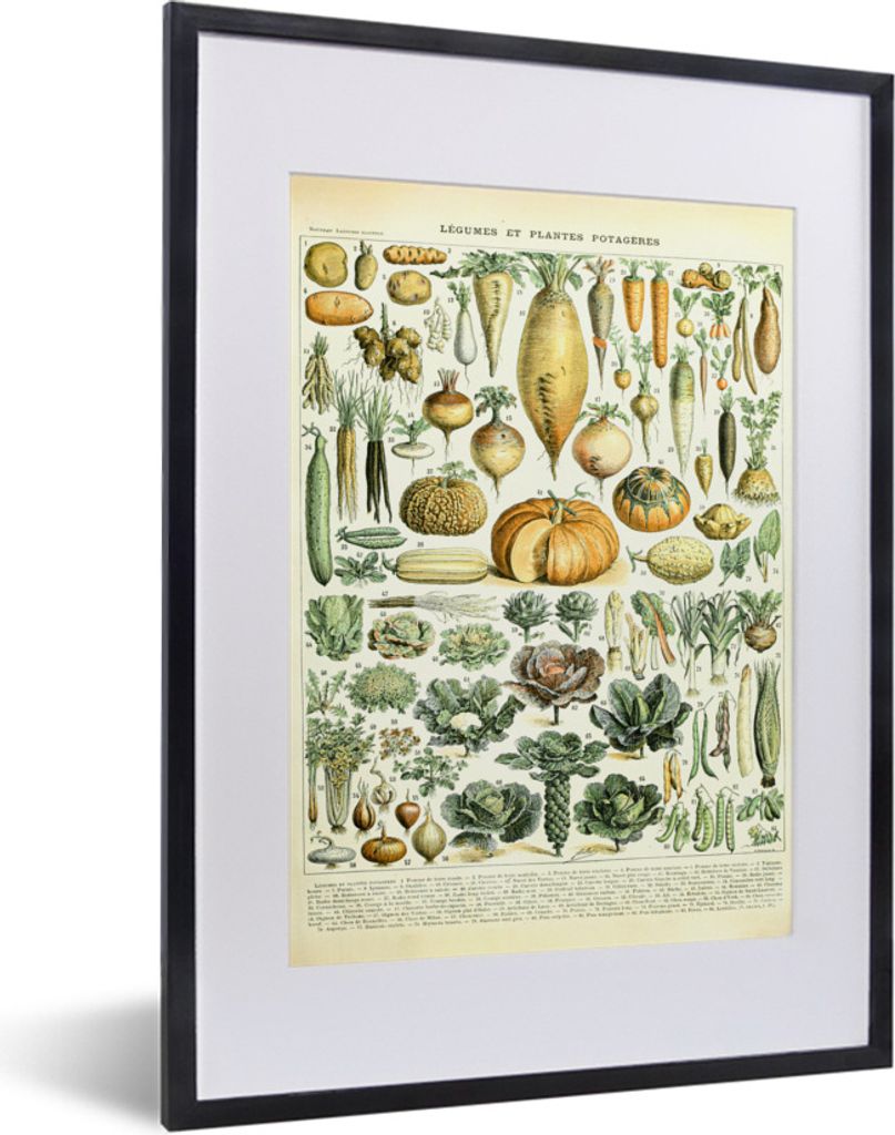 MuchoWow Gerahmtes Poster Vintage - Gemüse - Karotte - Kunst - Adolphe Millot - Orange 30x40 cm - Poster mit Schwarzem Bilderrahmen Wandposter R...