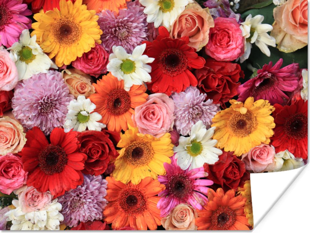 MuchoWow Poster Blumen - Farben - Gerbera - Rosen 120x90 cm - Wandbild