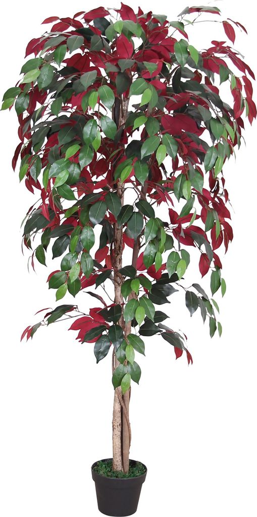 Roter Ficus Benjamin Birkenfeige Kunstpflanze Kunstbaum Künstlich 150cm Decovego
