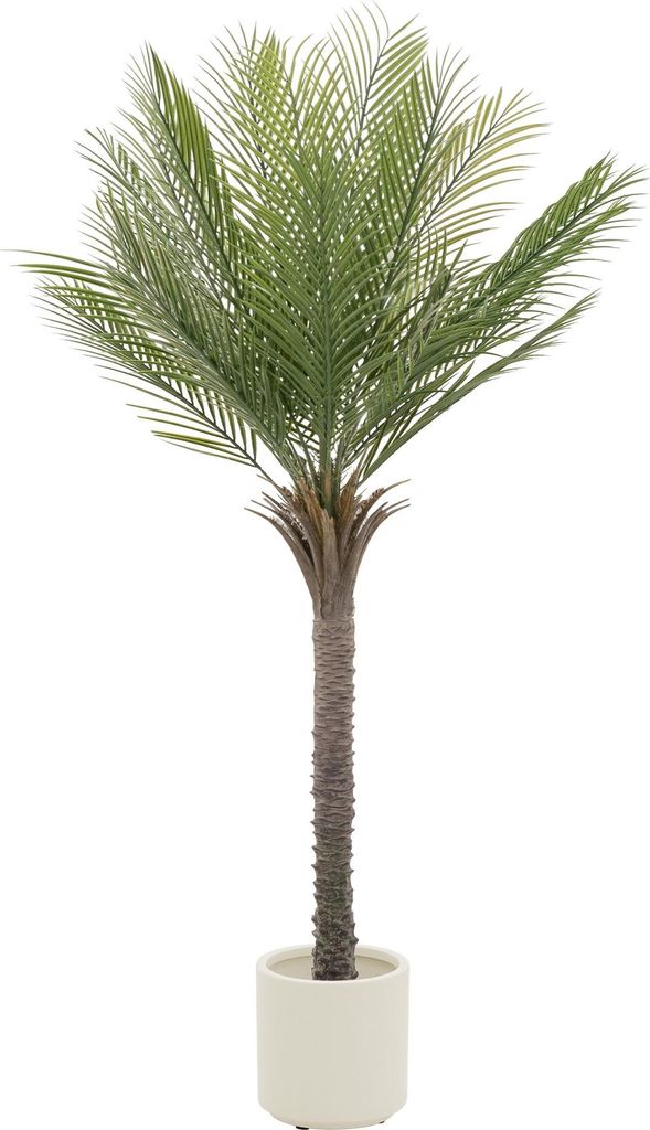 ML-Design Umělá palma 150 cm, tropická umělá palma, umělá Obrázek produktu 