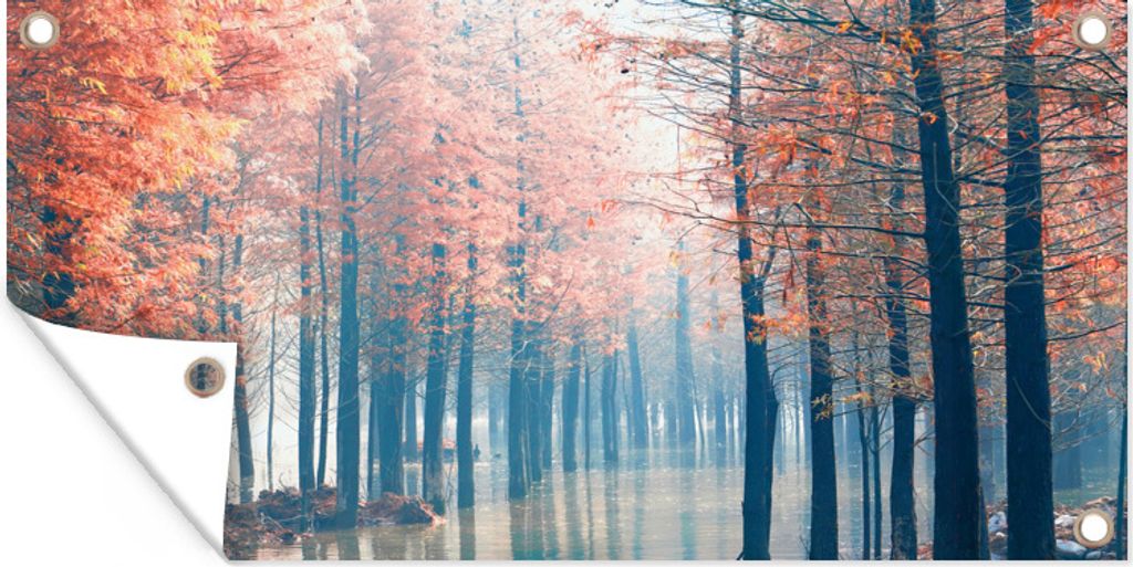 MuchoWow 60x30 cm Outdoor-Poster Gartendeko Sichtschutz Garten Poster für den Garten Die nebligen Wälder des Redwood Forest bei Sonnenaufgang i...