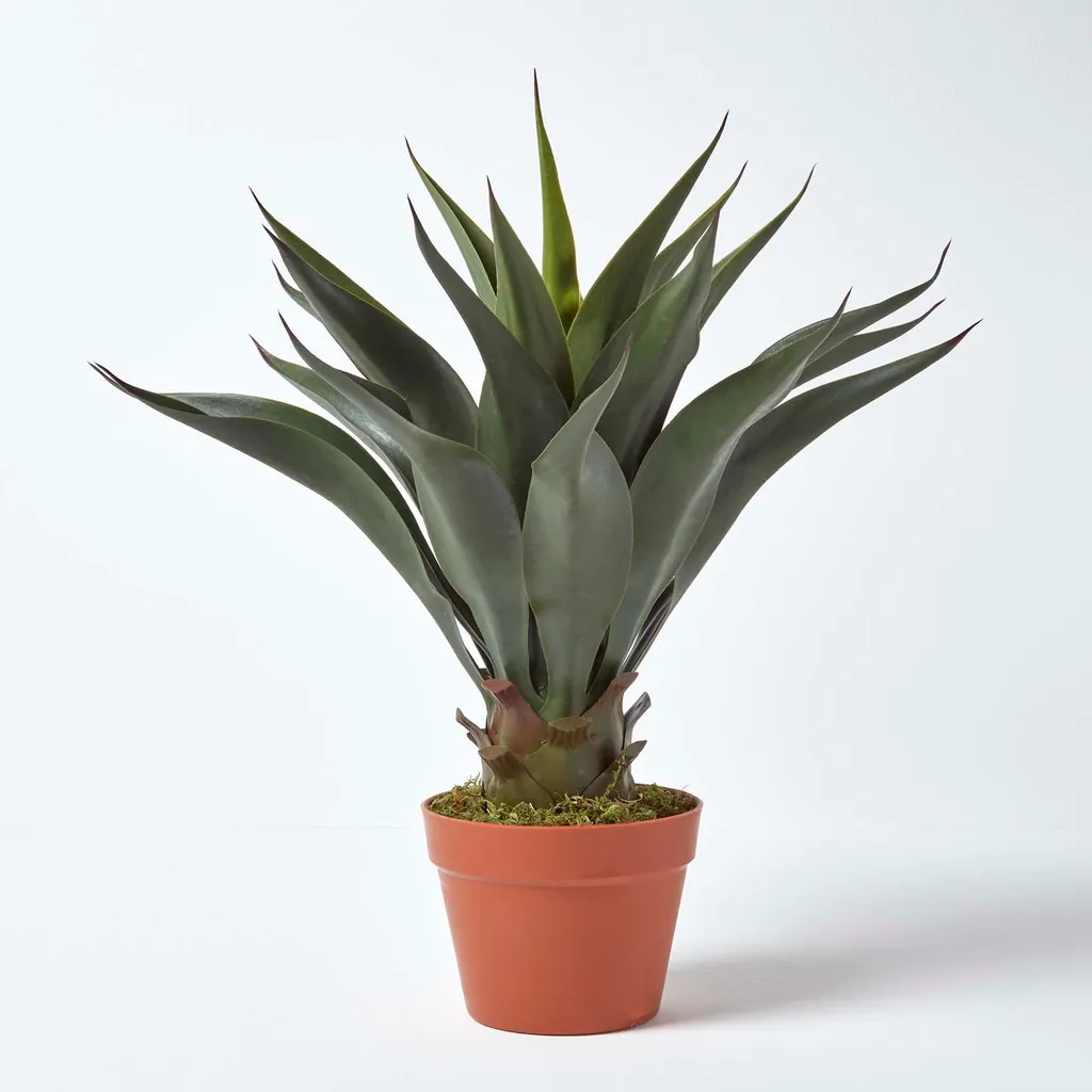 Homescapes Agave Americana Artificielle en Pot 60 cm - Century Plant