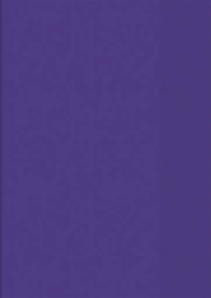 Pochette de classement A4 violette résistante et porte-document utile