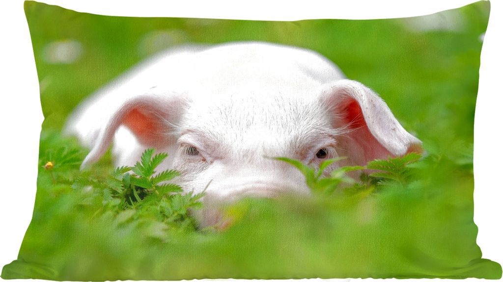MuchoWow Zierkissen Sofakissen Wohnzimmer Dekokissen 50x30 cm Schwein - Tiere - Groß - Wohnzimmerdekoration - Polster mit Photo