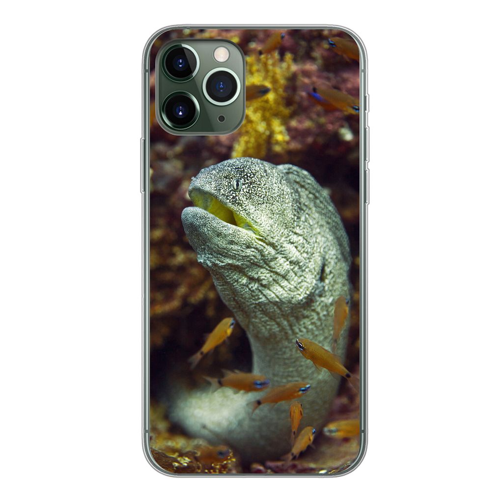 MuchoWow Handyhülle Schutzhülle Hülle für iPhone 11 Pro Fische - Korallen - Ozean Silikon Softcase Handy Hülle - Handy