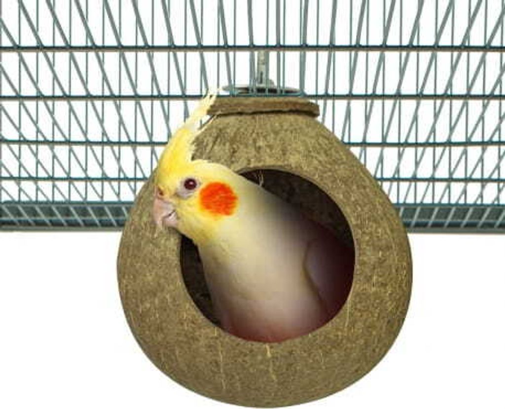 Creux de noix de coco - jouet ou grotte pour perroquets de Image du produit 