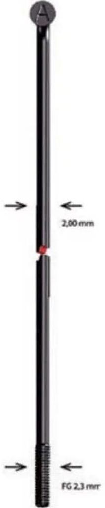 Alpina Speichen Niro 2X174Mm Sw