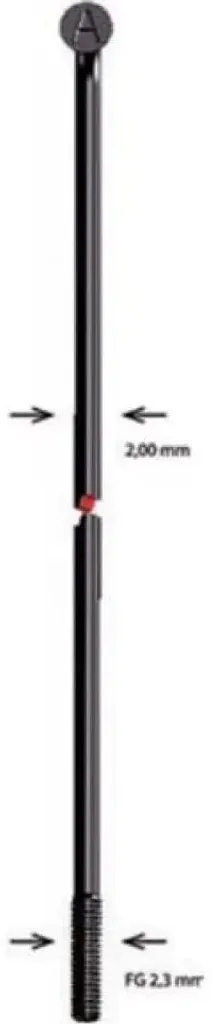 Rayon Alpina Niro 2x174mm noir en acier inoxydable pour roue de vélo