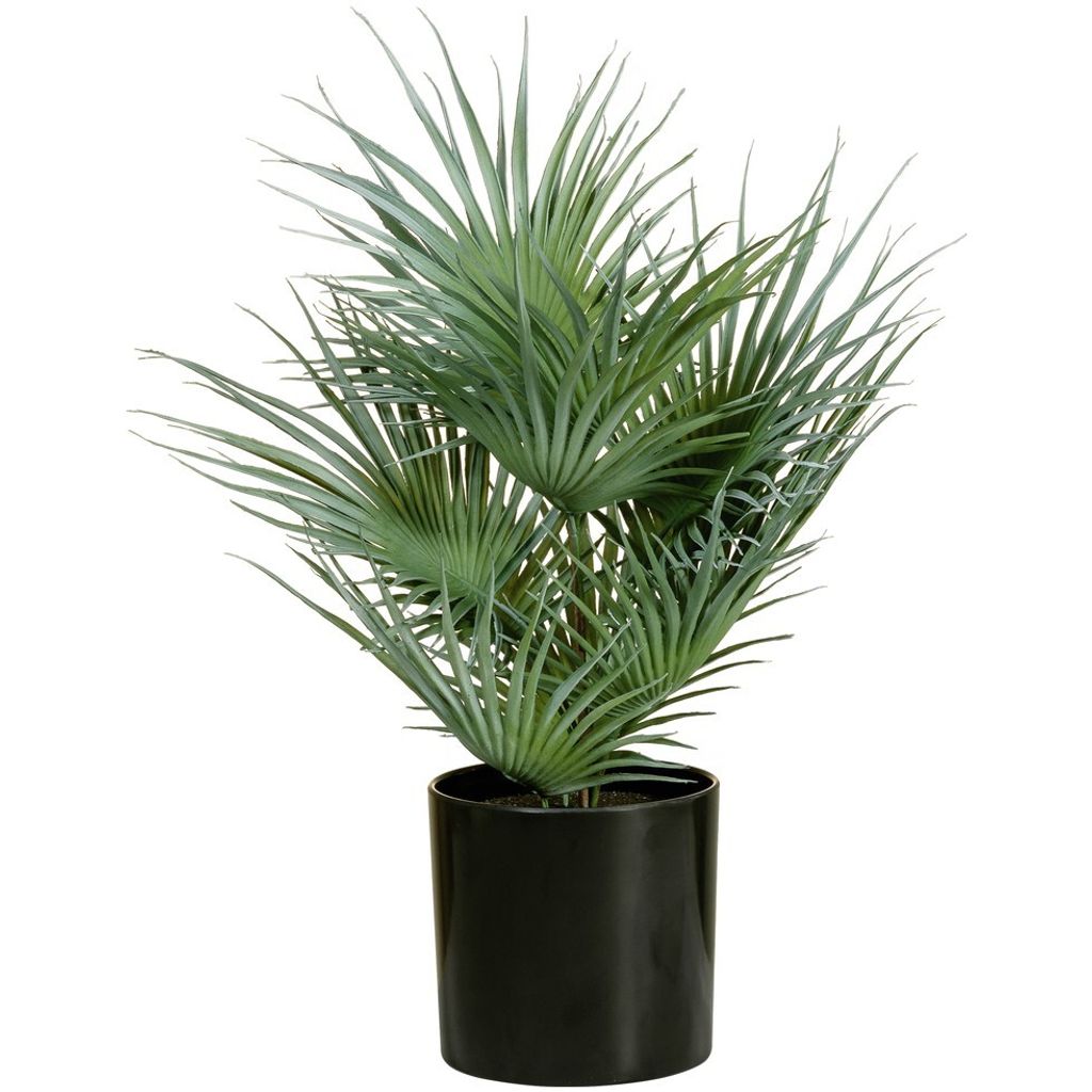 Europalms Fächerpalme Kunstpflanze 55cm 82509401 Obrázek produktu 