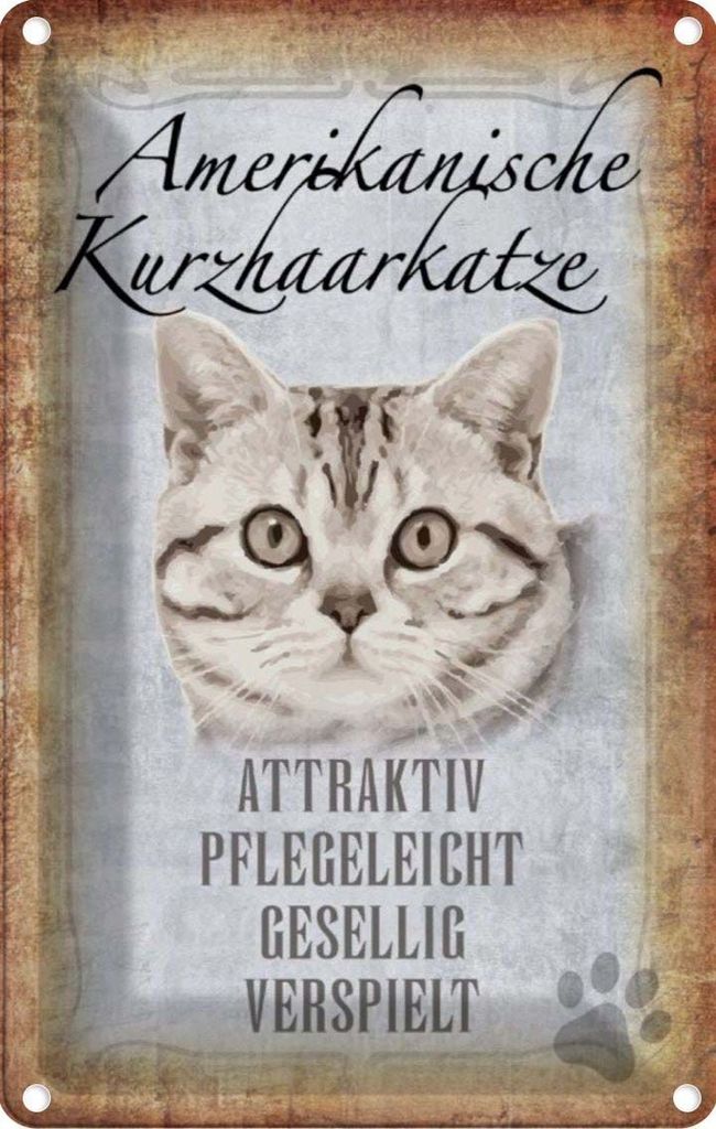 vianmo Blechschild 30x20 cm Americanische Katze Kurzhaar Tier Haustier