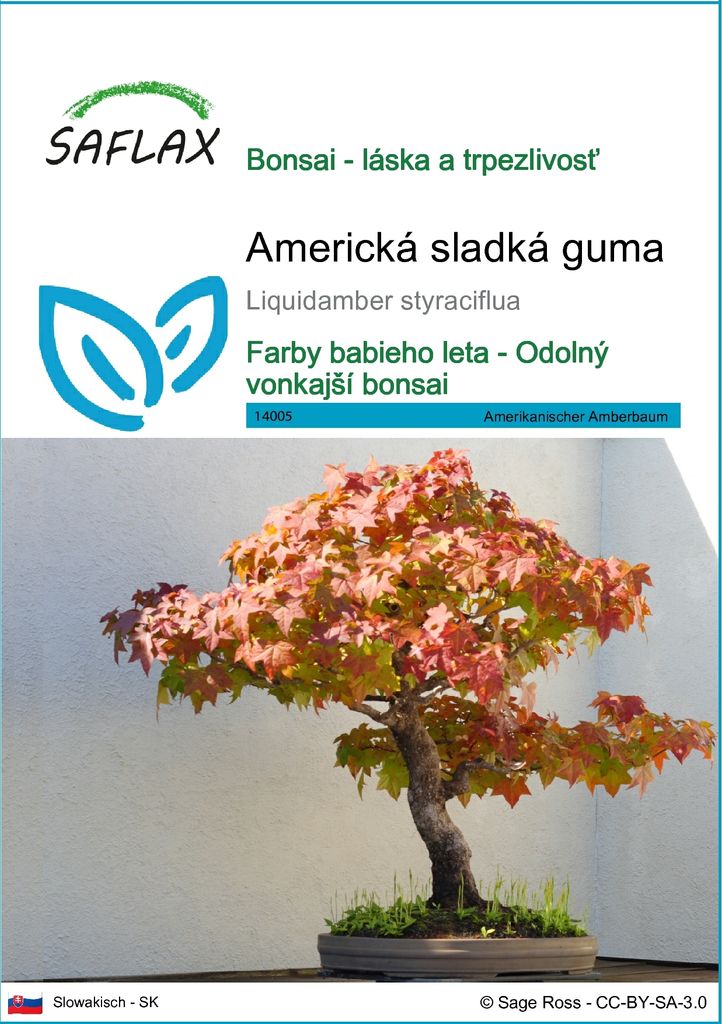 SAFLAX - Americká sladká guma - Liquidamber styraciflua - Obrázok produktu 