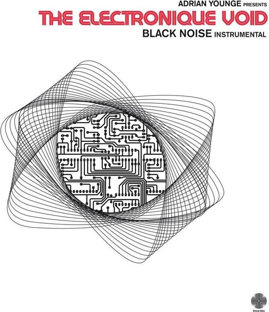 The Electronique Void: Black Noise Instrumentalls