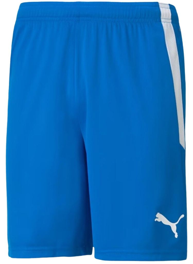 Puma - "Team Liga" Shorts für Herren MR718 (M) (Blau)