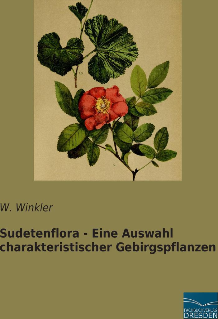 Sudetenflora - Eine Auswahl charakteristischer Gebirgspflanzen