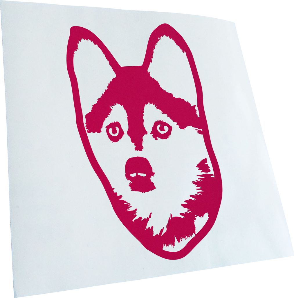 Kiwistar - Autoaufkleber - Pomsky Hund - Pink - 30x18cm - Aufkleber für Auto, Laptop, Fahrrad, LKW, Motorrad Mehrfarbig JDM Decal Racing