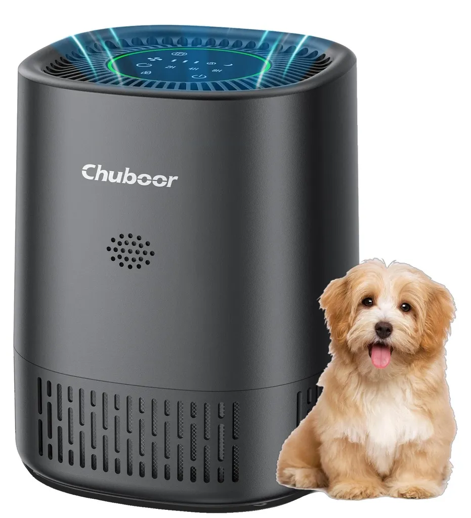 Purificateur d'air silencieux avec filtre HEPA haute capacité noir mat