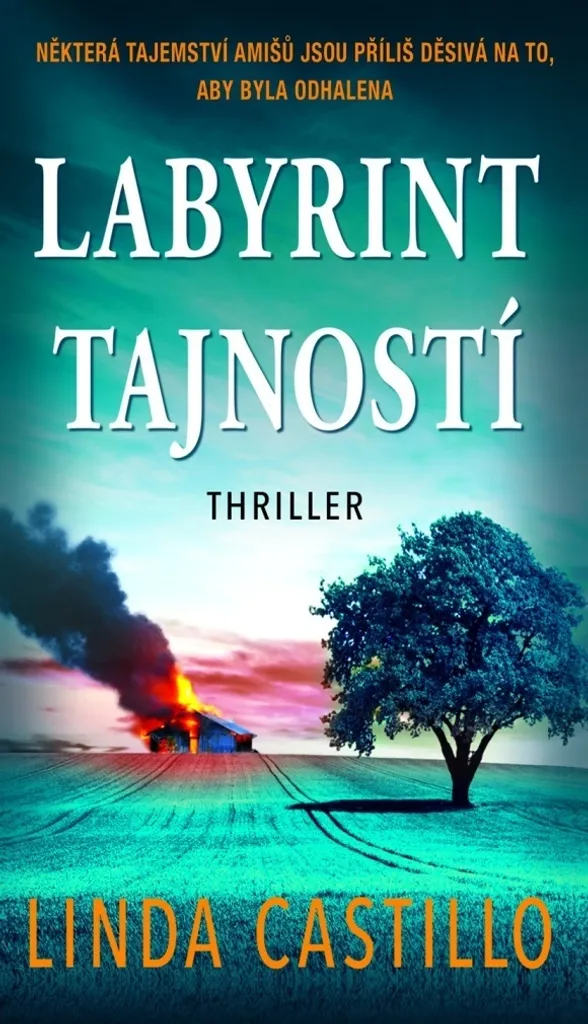 Labyrint tajností par Linda Castillo - Thriller policier Kate Burkholder