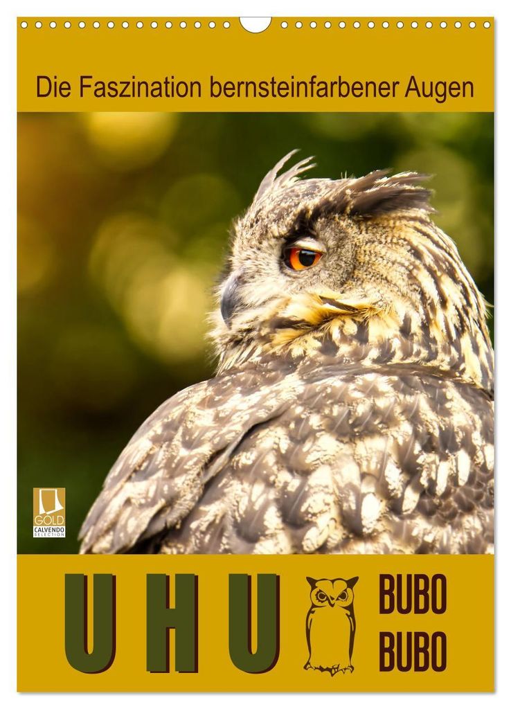 Uhu, die Faszination bernsteinfarbener Augen (Wandkalender 2027 DIN A3 hoch), CALVENDO Monatskalender