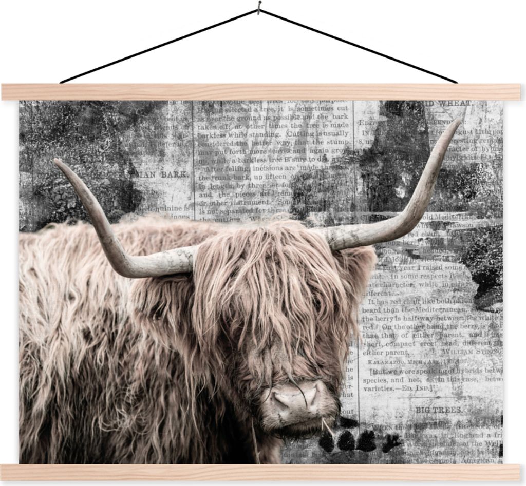 MuchoWow Textilposter Schottisches Hochlandrind - Vintage - Briefe 60x45 cm mit holzfarbenen Rahmen - Bild