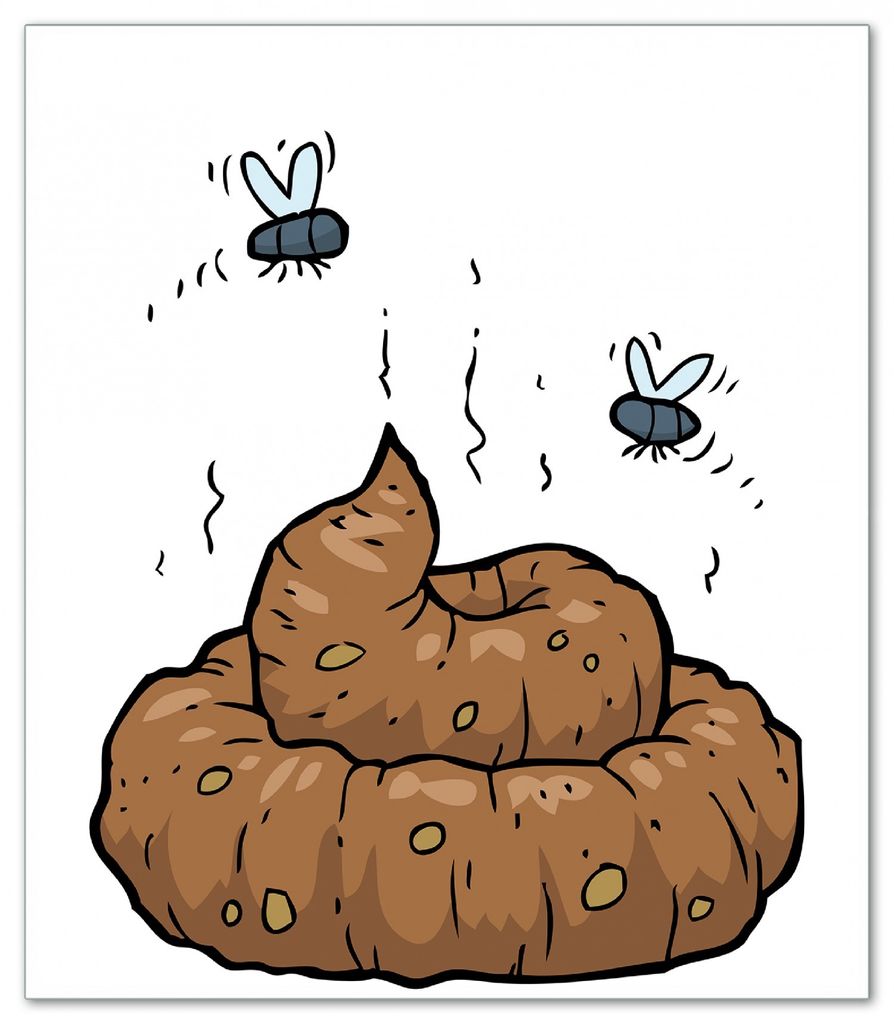 Wallario Herdabdeckplatte aus Glas, Größe 52 x 60 cm 1-teilig, Motiv Comic Scheißhaufen mit Fliegen