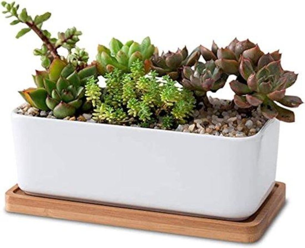 Keramik-Cactus-Topf - 2 Stück - Weiß
