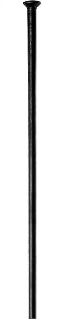Rayons DT Swiss Champion 2.0 Straightpull 240mm Noir contre la Casse