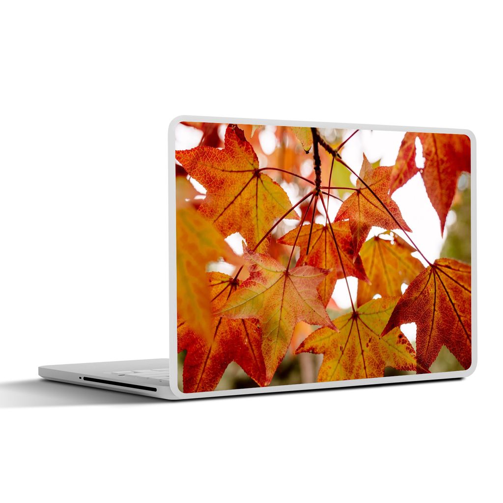 MuchoWow Laptop Aufkleber Sticker Cover Herbstzweige - Blätter - Jahreszeiten - Landleben 30x21 cm - Sticker für Laptop - Selbstklebend