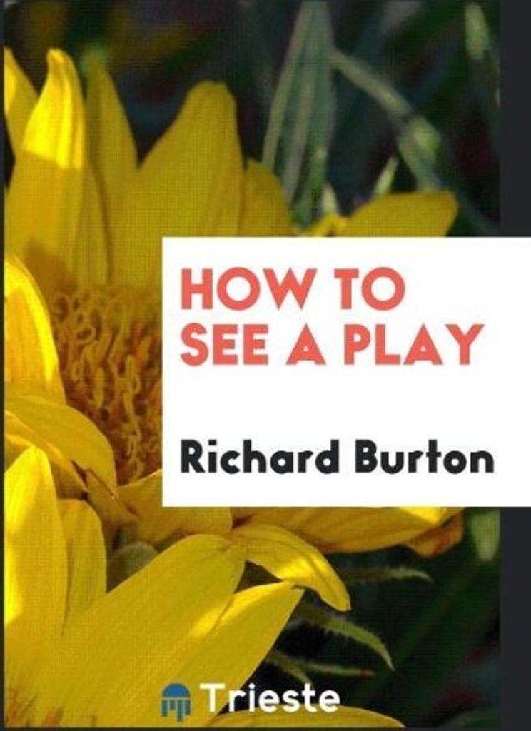 How to See a Play