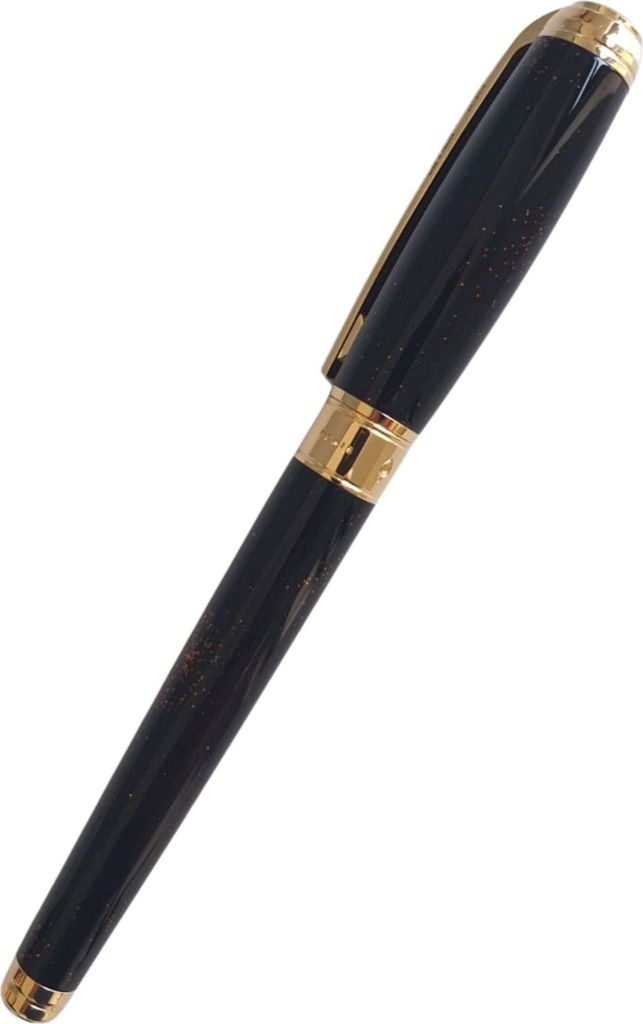 Stylo de collection S.T. Dupont  410116Lf D Line Unisexe Image du produit 
