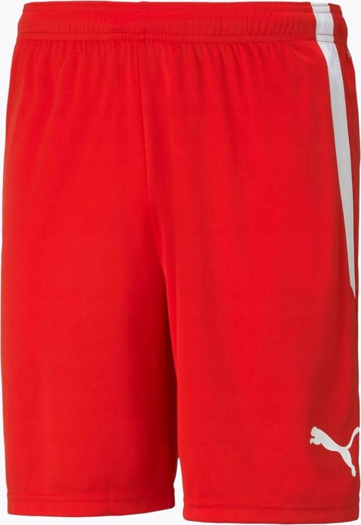 Puma Spodnie Spodenki Męskie Teamliga Czerwone, 70492401, Zdjęcie produktu 