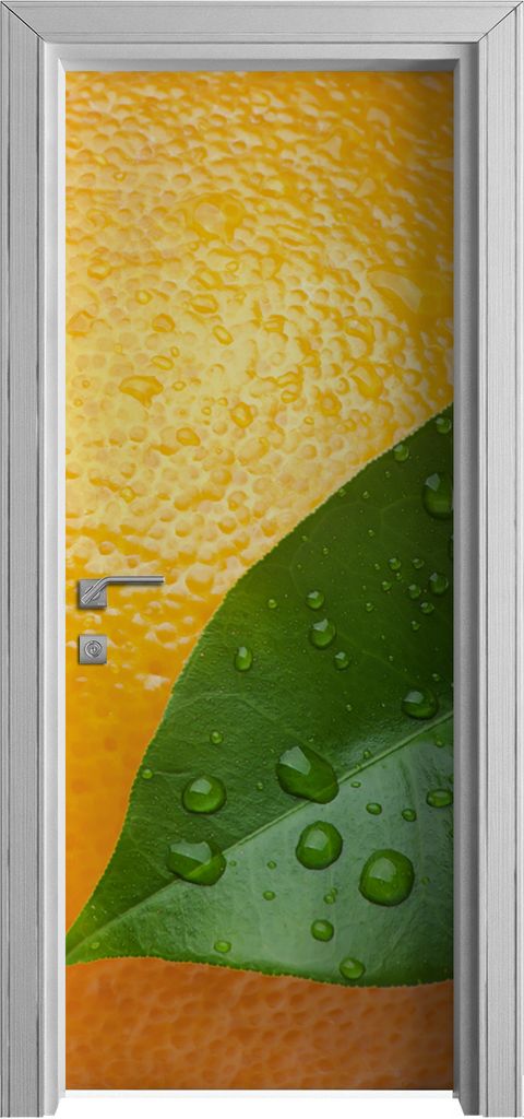 Tür Selbstklebende 80x210 cm Türfolie Türtapete Klebefolie - Orangenschale und Blatt