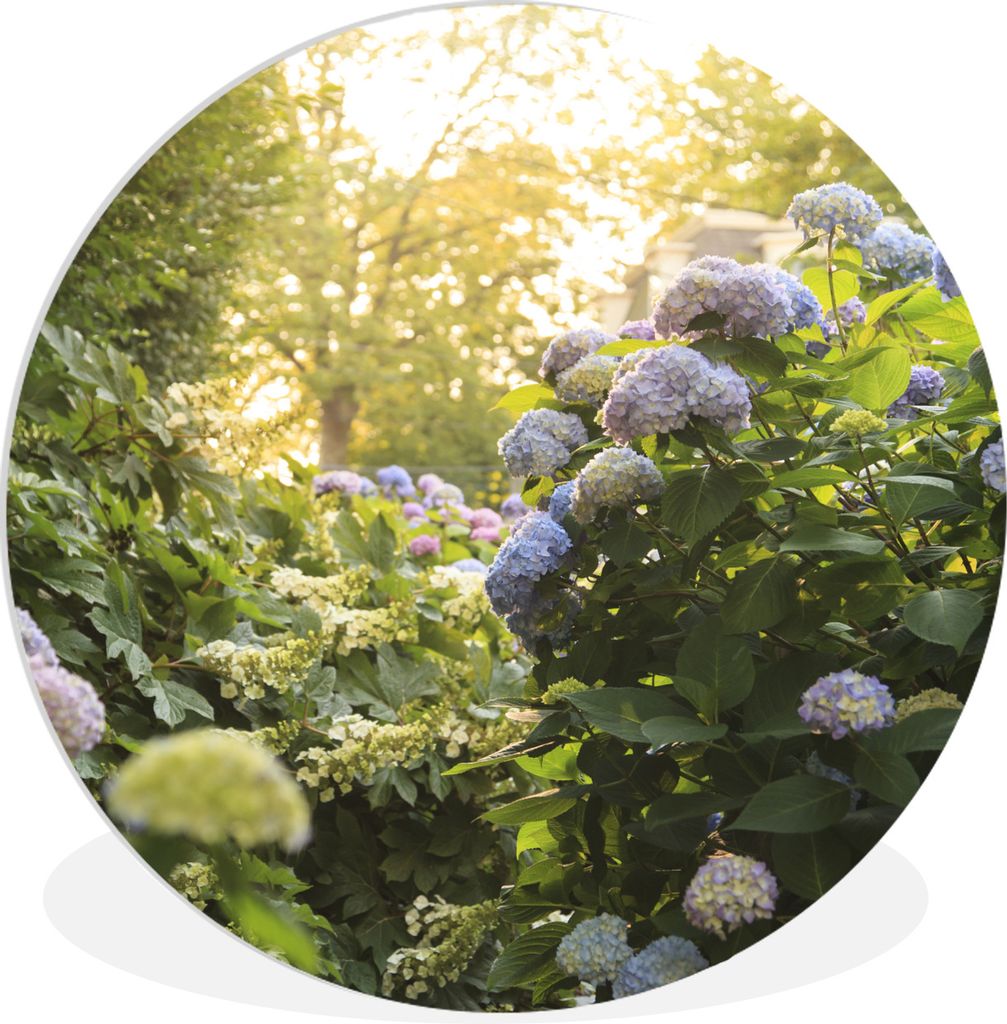 MuchoWow Rundes Wandbild - Runde Bilder Hortensiengarten Ø 90 cm Kreis Wanddekoration Kunststoff - Wandkreis - Wandschmuck - Wand-Kreis - Wohnzi...