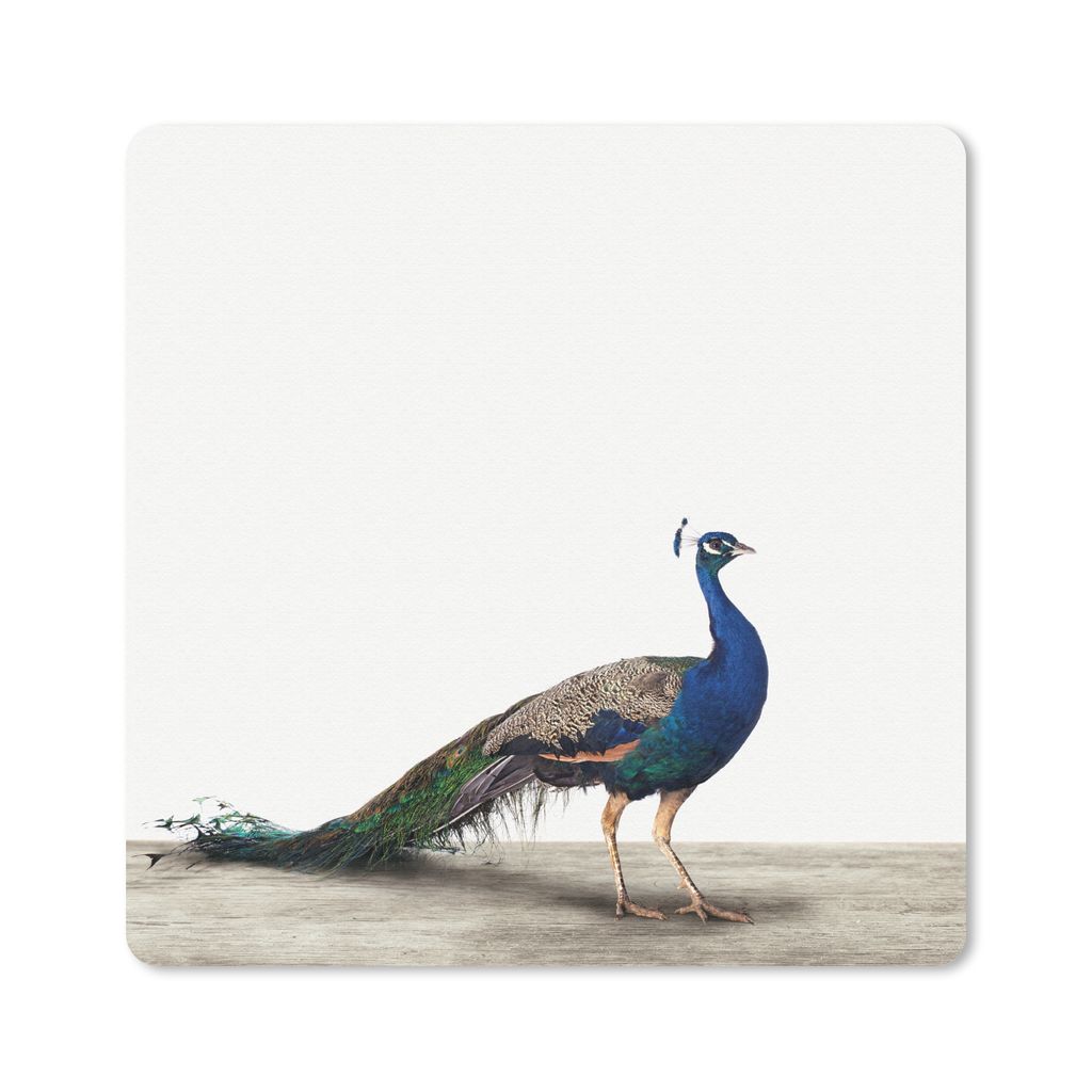 MuchoWow Mauspad Mousepad Pfau - Federn - Vogel - Kinder - Jungen - Mädchen 30x30 cm - Mousepads - Maus Mat - Pad - Mausunterlage - Gaming