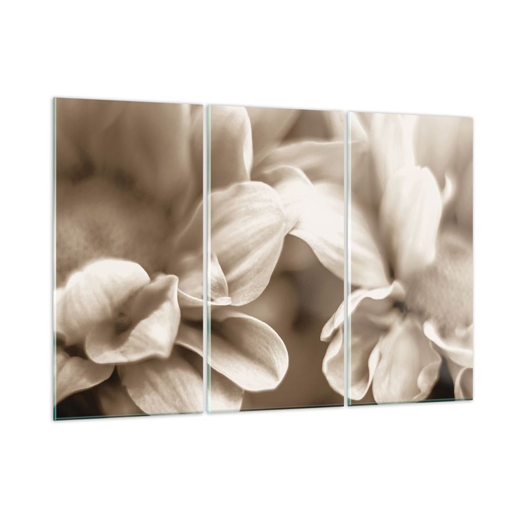 Bilder auf glas - 3 Teile - Blumen Boho ohne - 165x110cm - Glasbilder - Wandbilder - Bilder - zum Aufhängen bereit - Wanddekoration aus Glas - Gla...