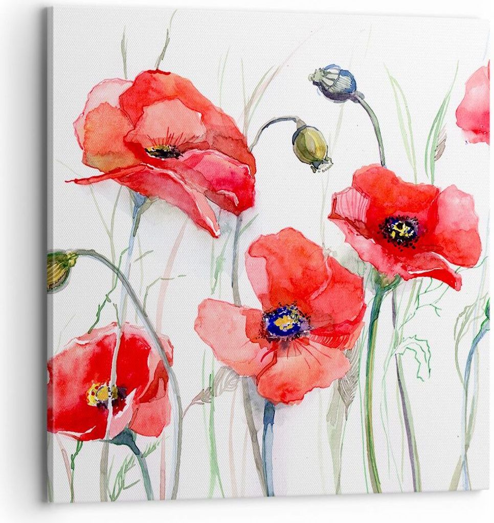 Bild auf Leinwand - Leinwandbild - Blume Mohn Wiese - 70x70cm - Wand Bild - Wanddeko - Wandbilder - Leinwanddruck - Bilder - Kunstdruck - Wanddekor...