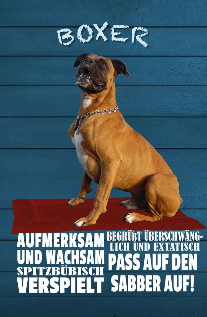 vianmo Holzschild 30x20 cm Boxer Hund aufmerksam wachsam Tier Haustier