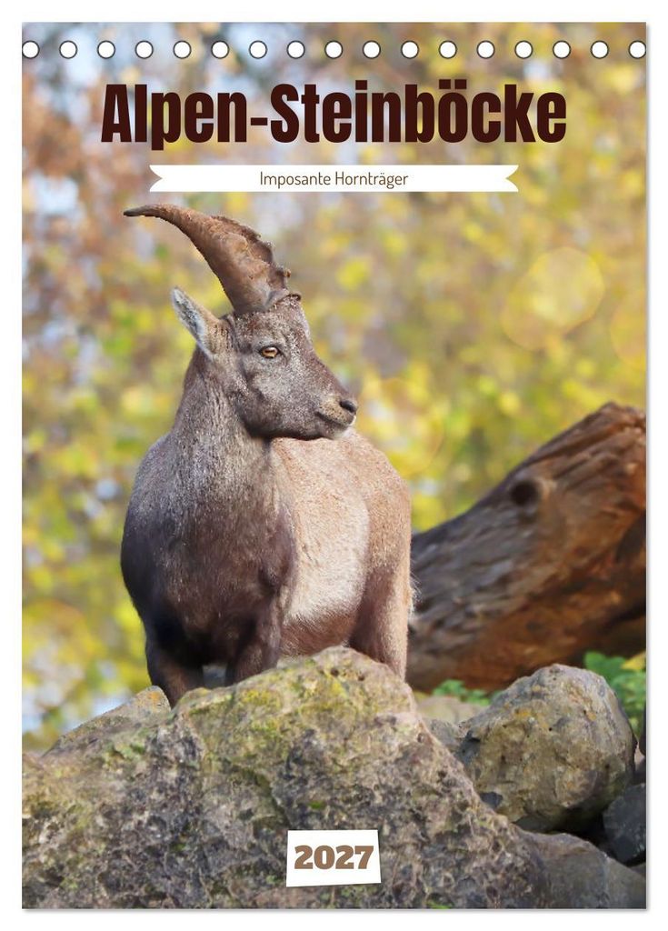 Alpen-Steinböcke, imposante Hornträger (Tischkalender 2027 DIN A5 hoch), CALVENDO Monatskalender