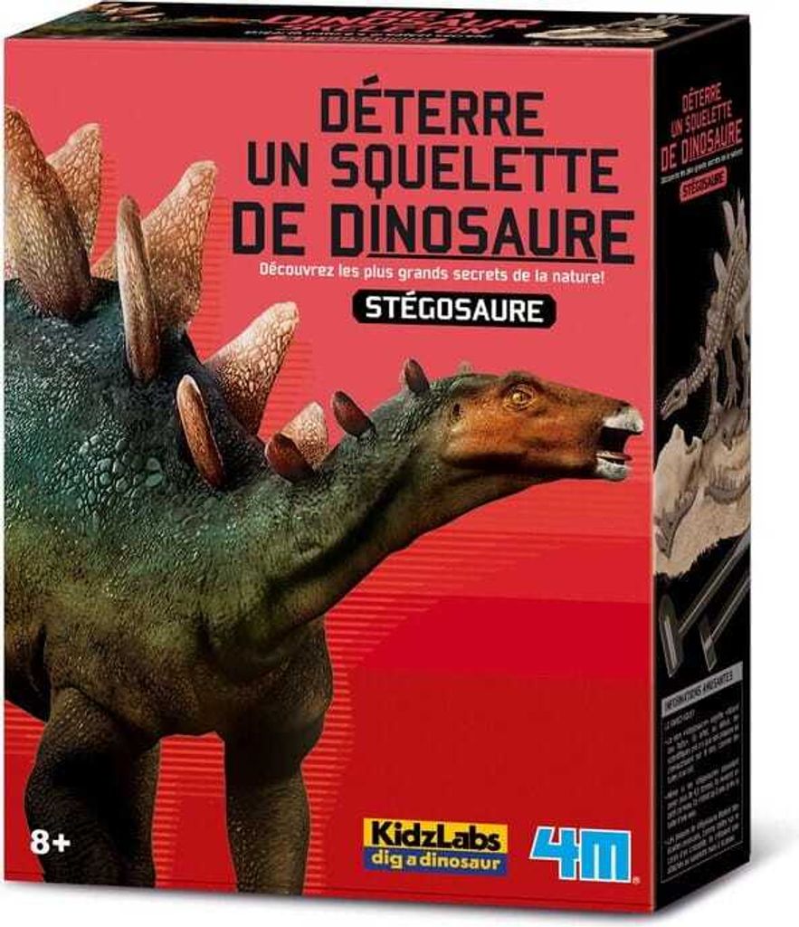 4 m Grabe deinen eigenen Dinosaurier bei Stegosaurus Kidzlabs