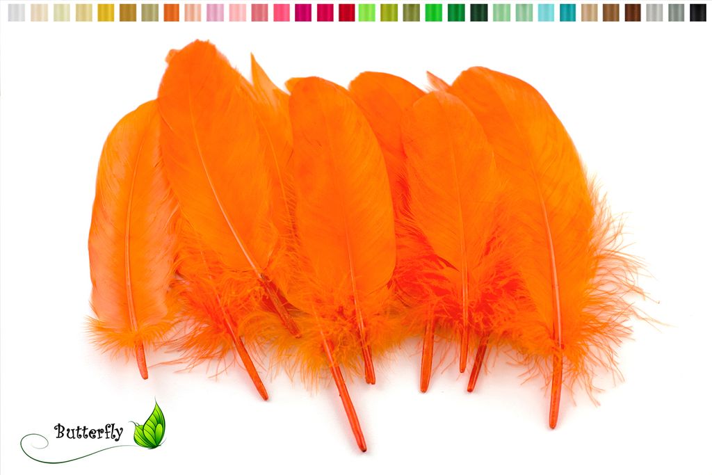 10 Gänsefedern 15-20cm, Farbauswahl:orange 668