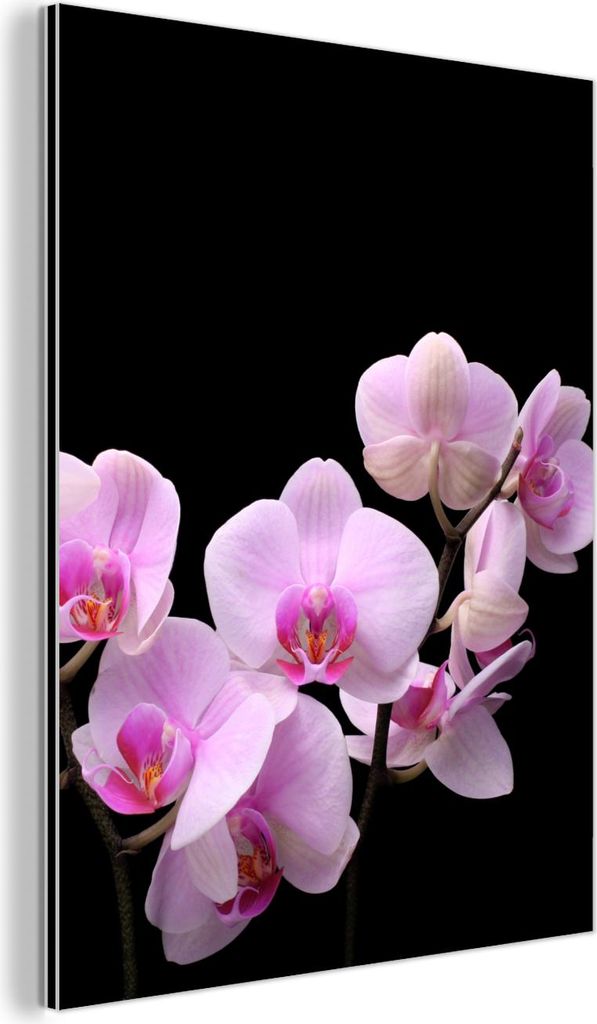 MuchoWow Wanddekoration Metall Metallbild Wandkunst 30x40 cm Orchidee - Blumen - Rosa - Flora MuchoWow Aluminium Gemälde - Bilder