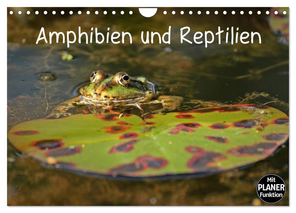 Amphibien und Reptilien (Wandkalender 2027 DIN A4 quer), CALVENDO Monatskalender